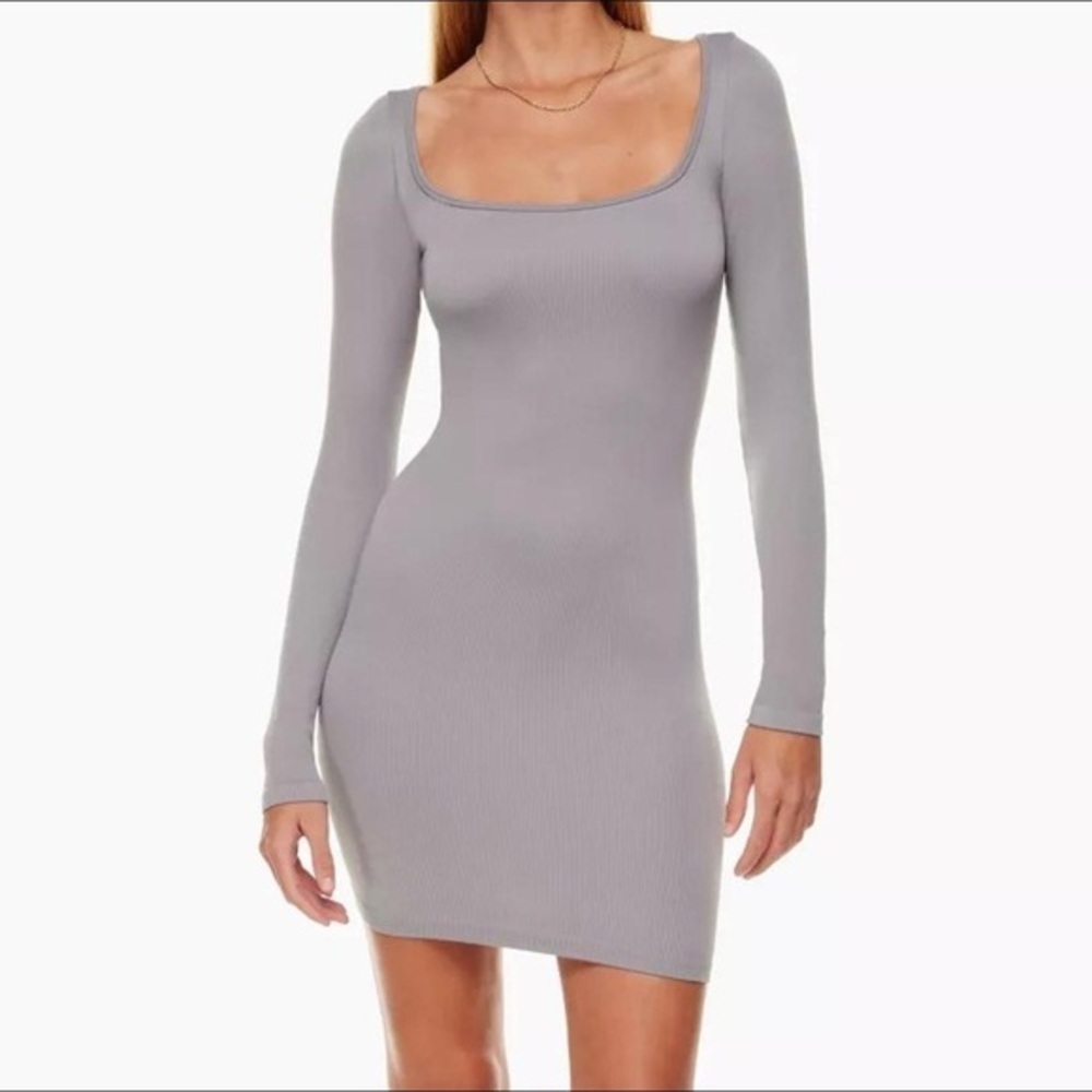 Aritzia Sunday best felt cinch dress